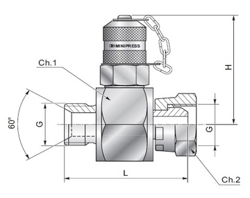 Точка измерения давления М16х2,0 проходник BSP 1/2" (Ш-Г)